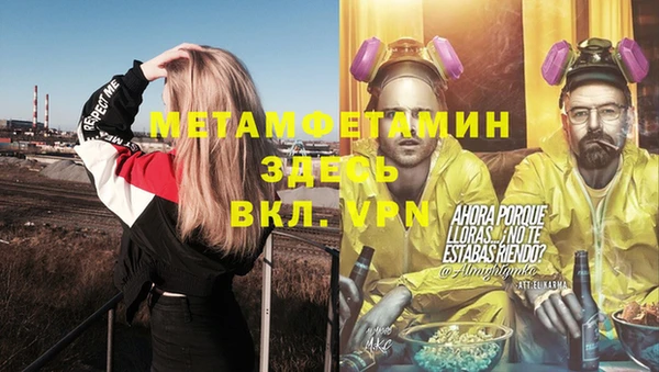 шишки Елизово