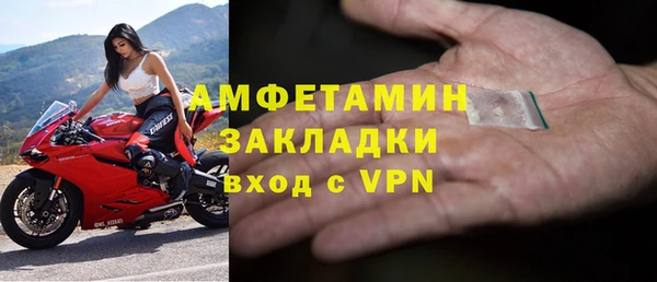 мдпв Ельня