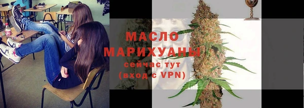 мдпв Ельня
