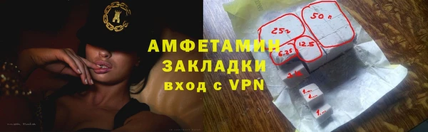 мдпв Ельня