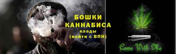 шишки Елизово