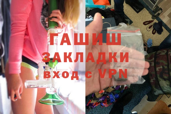 мдпв Ельня