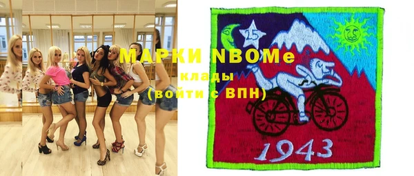 шишки Елизово