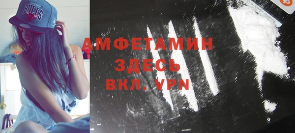 шишки Елизово