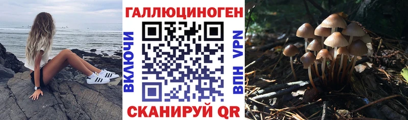 Галлюциногенные грибы мицелий  Новая Ляля 